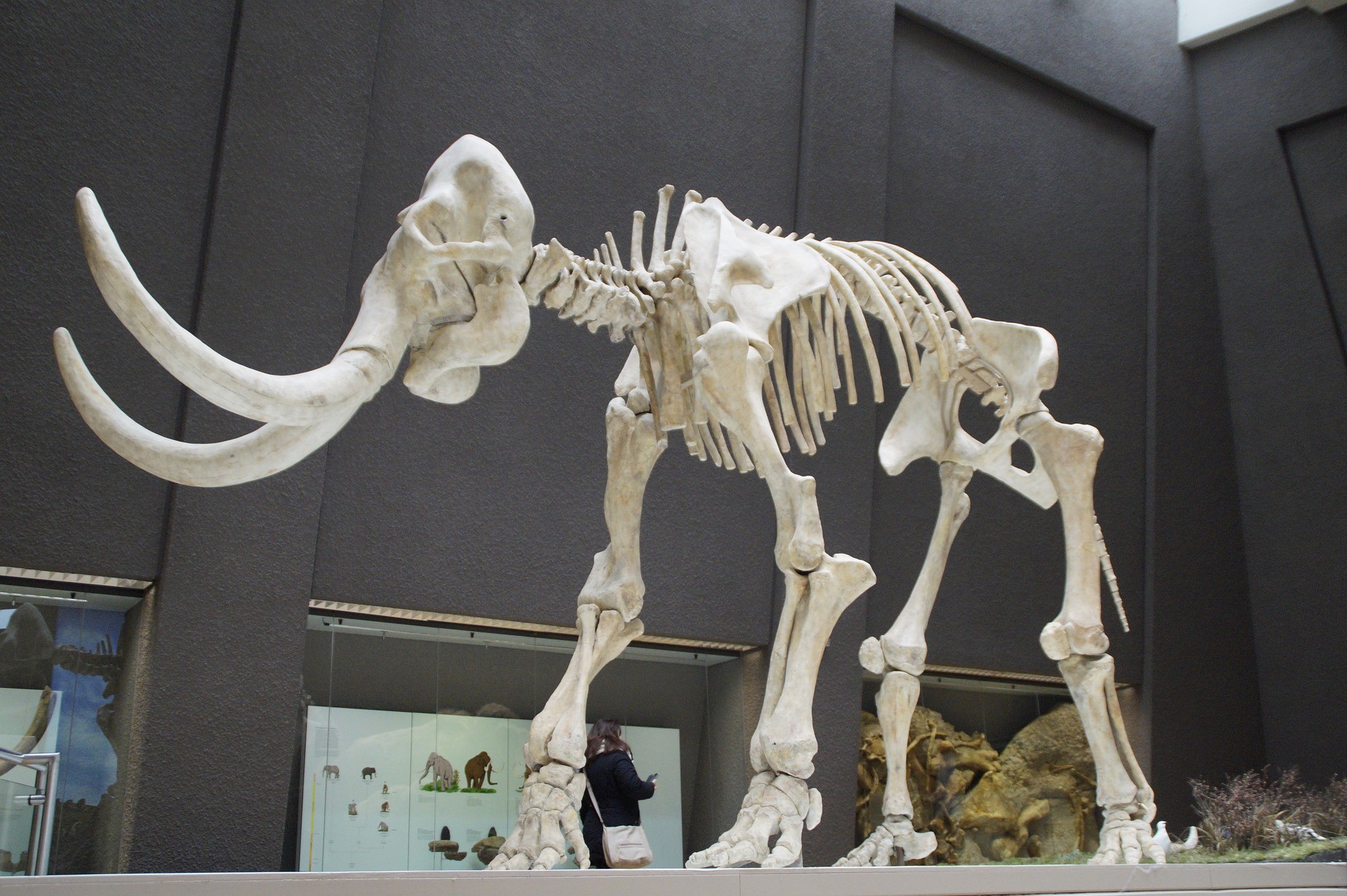 Exhibition of Evolution exhibition